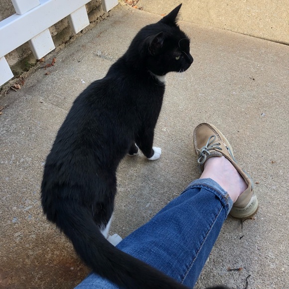 Meet your Posher, Vanessa - Picture 1 of 1